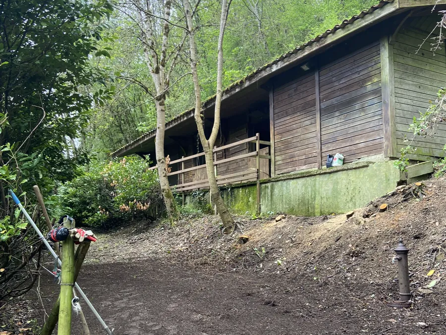 Terrain dégagé autour du bâtiment après le débroussaillage