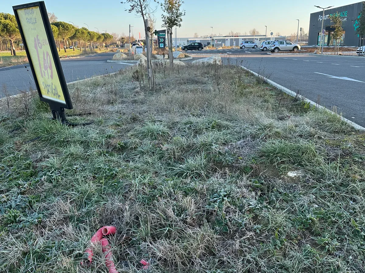 Herbes hautes autour des jeunes arbres et du panneau à l’entrée du parking avant le débroussaillage