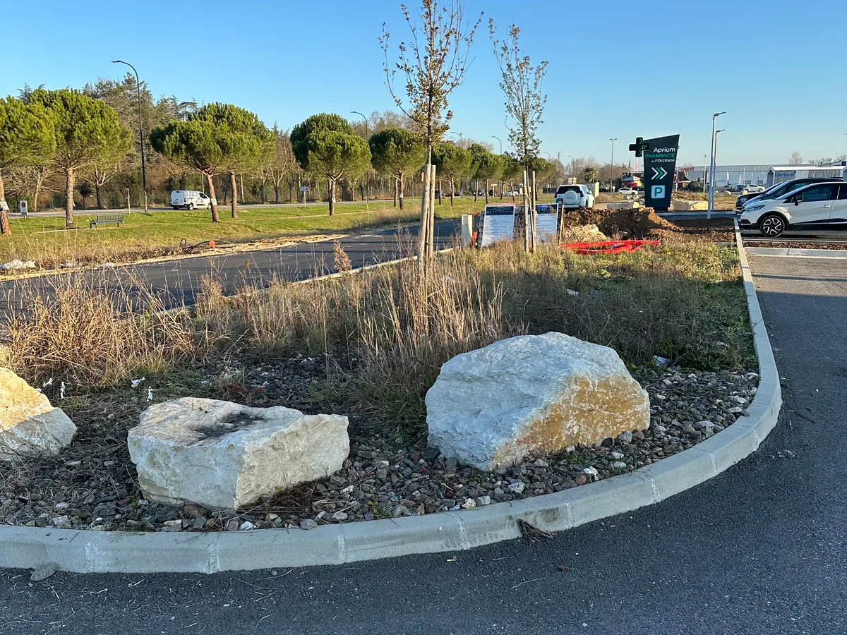 Îlot paysager envahi d’herbes hautes entre les arbres et les rochers avant l’entretien