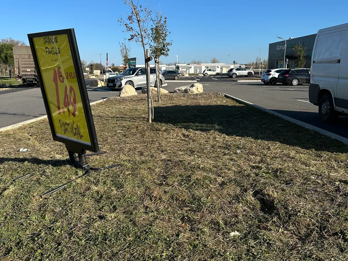 Espace vert du parking après la coupe des herbes autour des arbres et du panneau