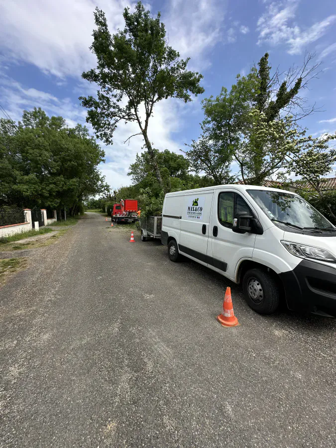 Véhicules MAX&CO et cônes de signalisation autour d’un chantier d’élagage en bord de route