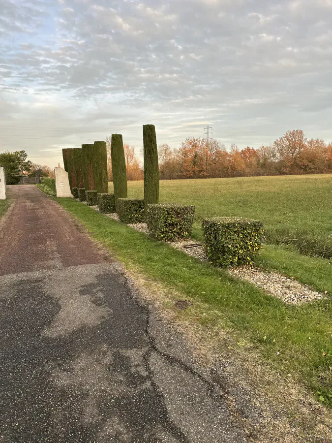 Alignement de cyprès hauts et de haies basses taillés le long d’une entrée