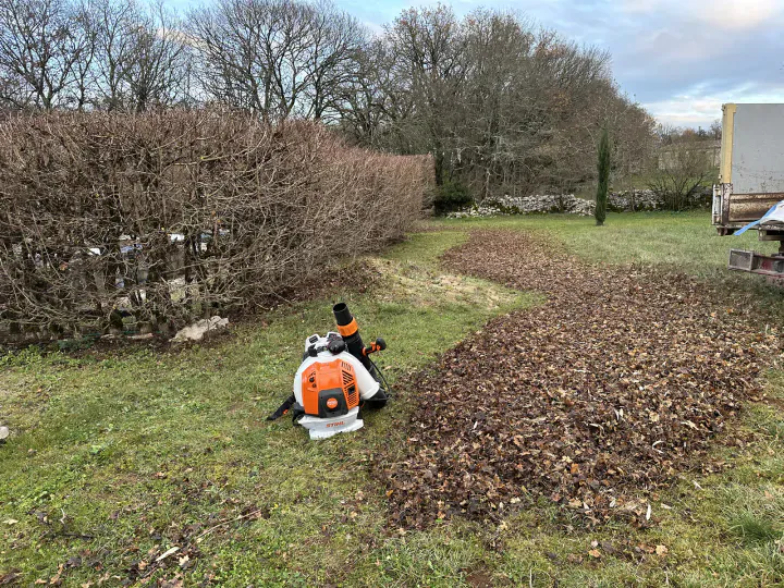 Feuilles mortes rassemblées au sol avec un souffleur dans un jardin