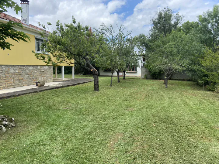 Pelouse entretenue sous plusieurs arbres dans un jardin résidentiel