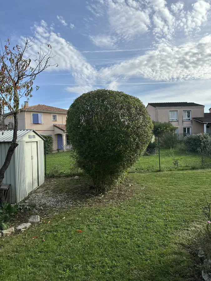 Grand arbuste taillé en forme ovale dans un jardin