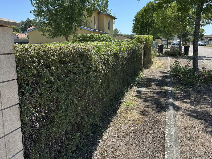 Même haie alignée après la taille avec le passage dégagé