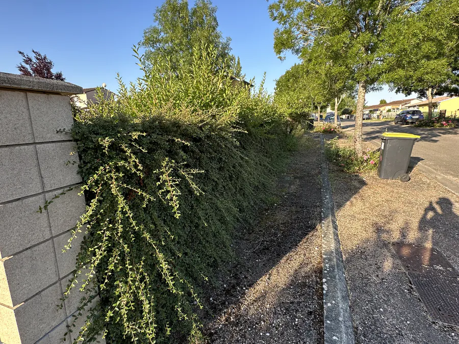 Haie débordant sur le passage avant la taille